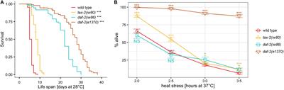 Thermotolerance of tax-2 Is Uncoupled From Life Span Extension and Influenced by Temperature During Development in C. elegans